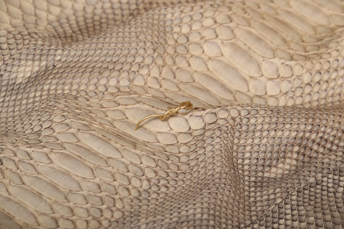 Boa