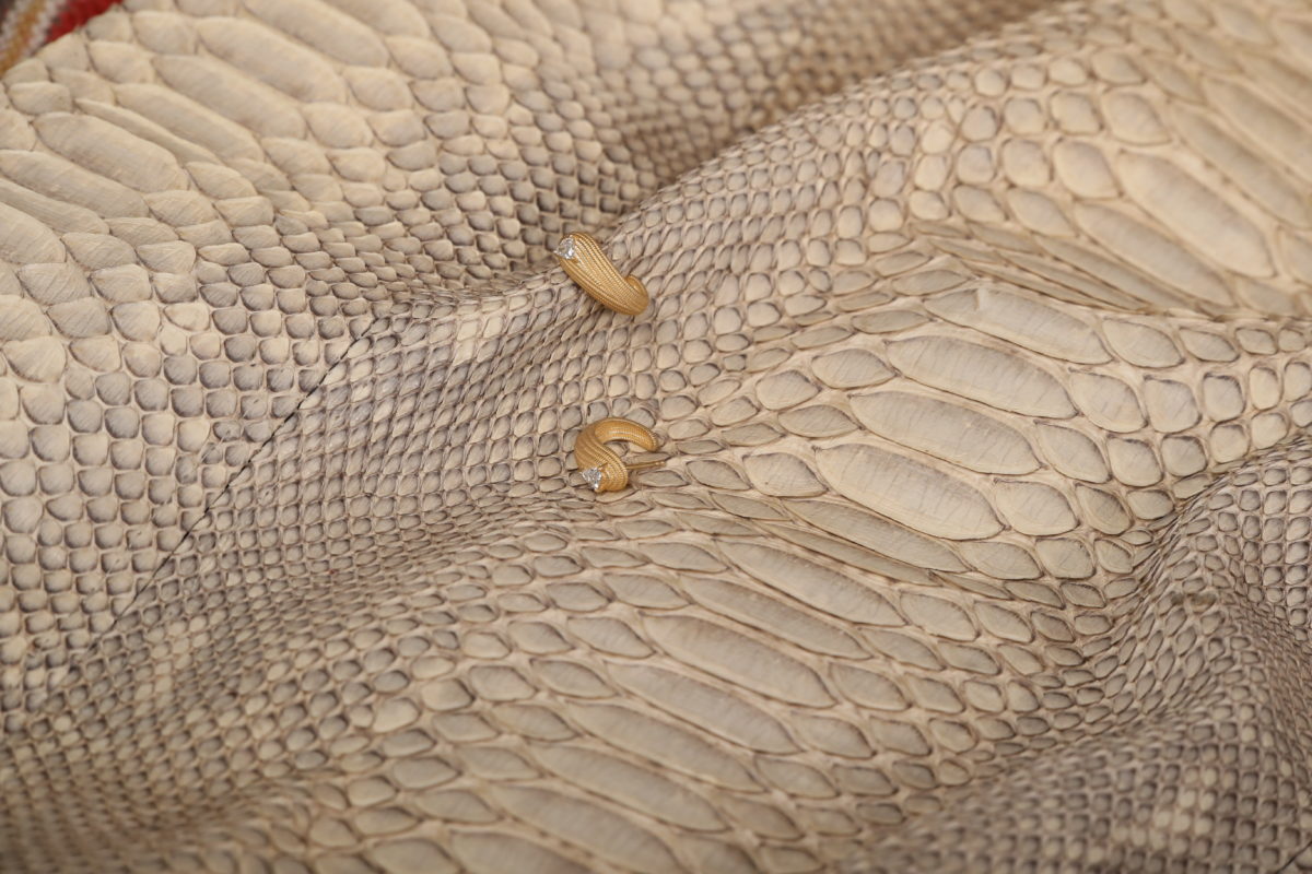 Écaille - Image 2