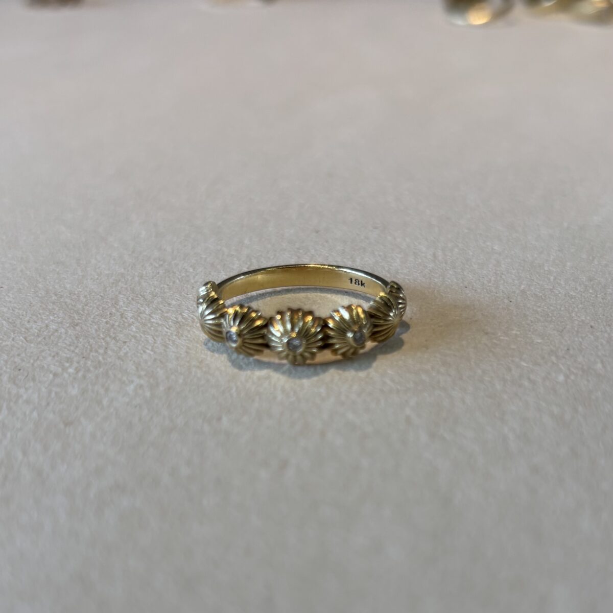 Coquillage