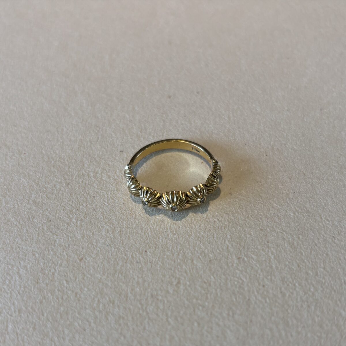 Coquillage – Image 4