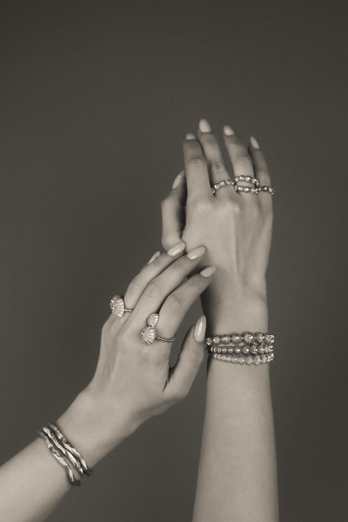 Double Coquillage - Image 5